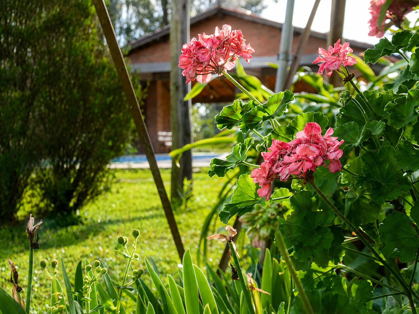 Jardins e áreas verdes do Sítio Hotel & Eventos